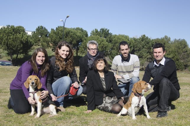A equipe espanhola que curou o diabetes dos cachorrinhos Beagle. No centro, Fàtima Bosch, a líder do projeto. Foto: Pierre Caufapé