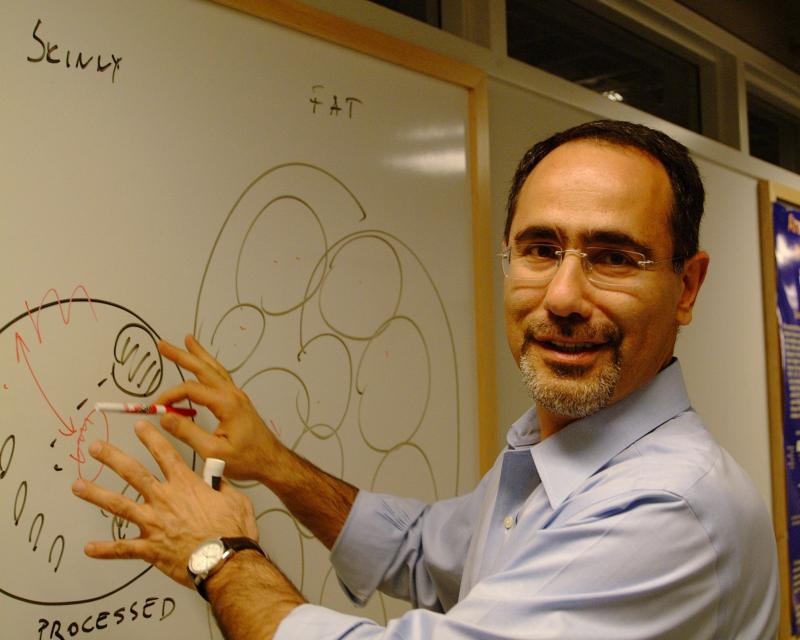O pesquisador Gokhan Hotamisligil, da Universidade de Harvard, foi um dos envolvidos na descoberta da proteína aP2.
