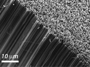 Os nanotubos de carbono são estruturas finíssimas e prometem revolucionar várias áreas, inclusive a de diagnósticos médicos.