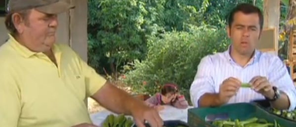 quiabo na televisao diabetes